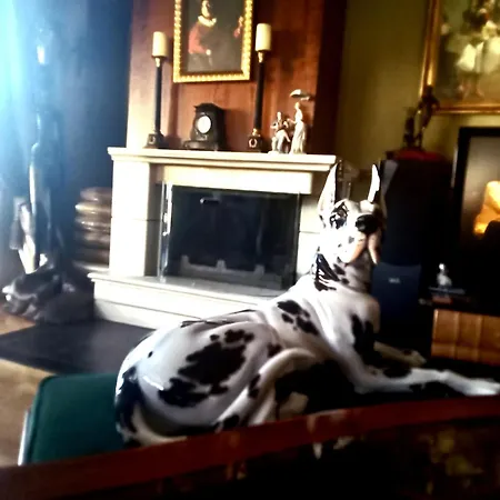 Apartment Classic With Beautiful View